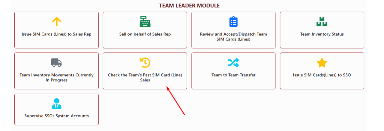 Check Team Past Sales Icon